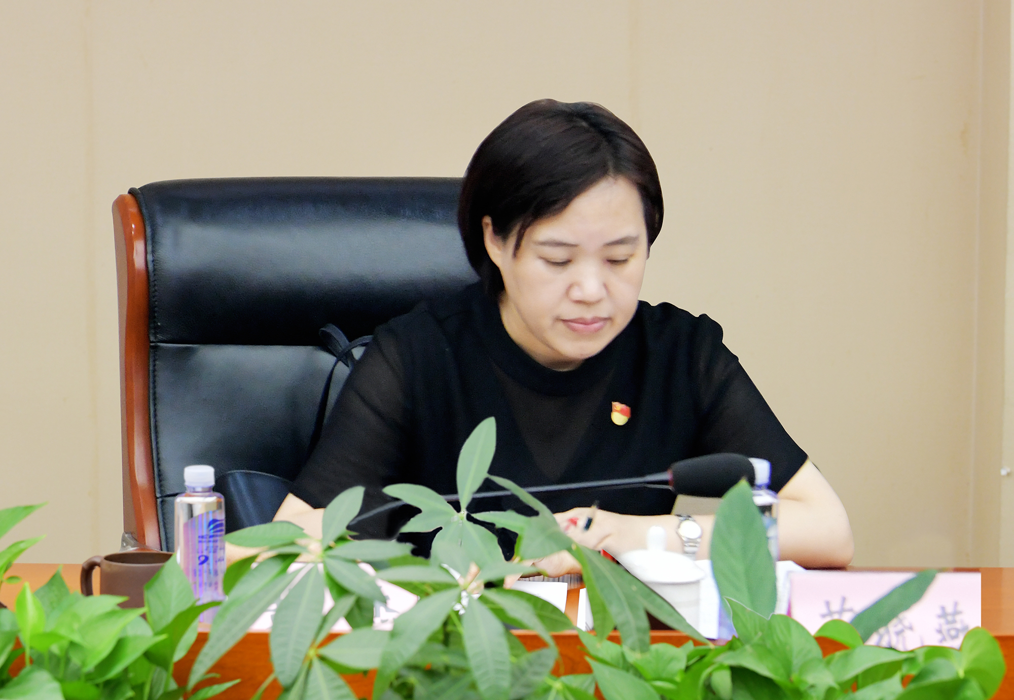 &#112;&#103;&#30005;&#23376;&#27169;&#25311;&#22120;&#40;&#35797;&#29609;&#28216;&#25103;&#41;&#23448;&#26041;&#32593;&#31449;