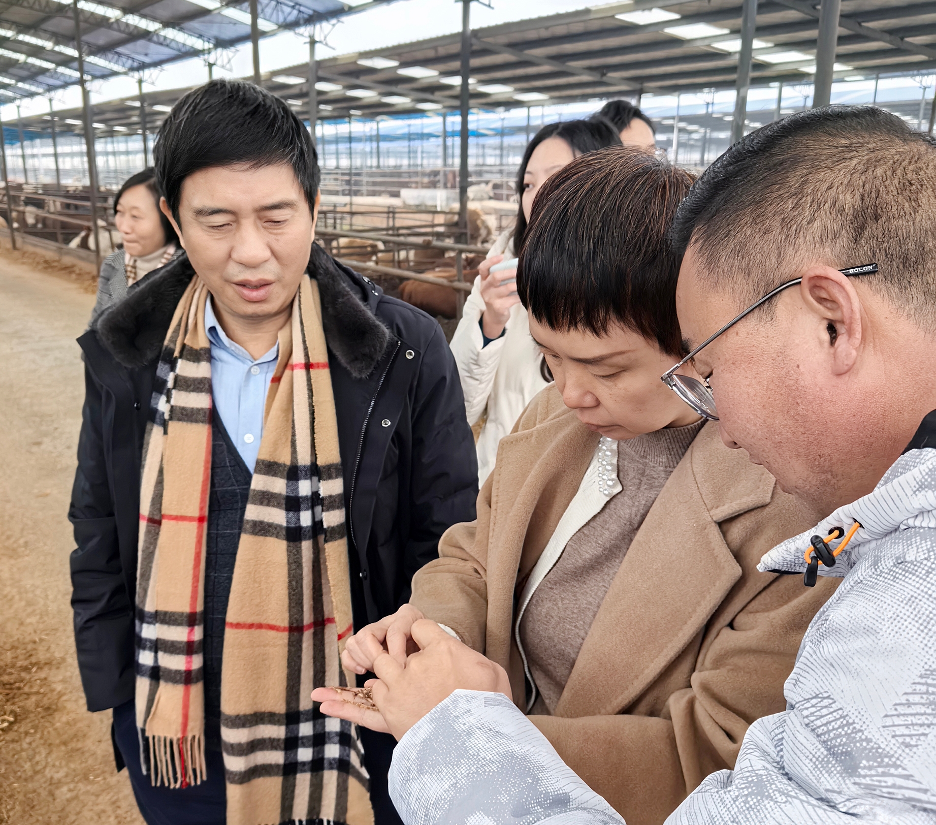 &#112;&#103;&#30005;&#23376;&#27169;&#25311;&#22120;&#40;&#35797;&#29609;&#28216;&#25103;&#41;&#23448;&#26041;&#32593;&#31449;